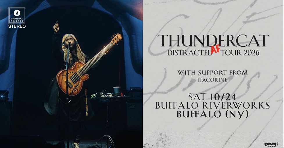 Thundercat